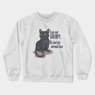 cat with groompy face Crewneck Sweatshirt